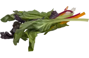 Snijbiet mix 250gr